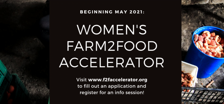 A flyer for the Farm2Food Accelerator program, an online training empowering Florida women farmers and other food producers