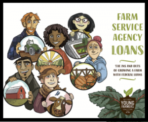 The cover for the National Young Farmers Coalition's Farm Service Agency Guidebook for young farmers and ranchers