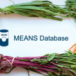 The MEANS Database name and logo surrounded by vegetables